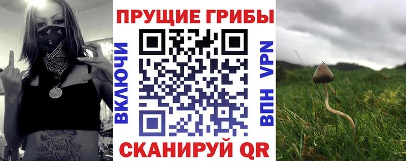 Галлюциногенные грибы ЛСД  гидра ссылки  Дигора 